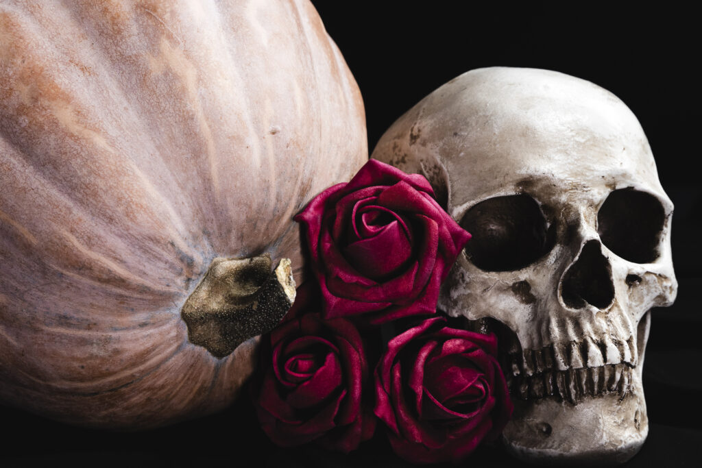 Flower of Evil: un drama thriller ricco di suspance Flower of Evil